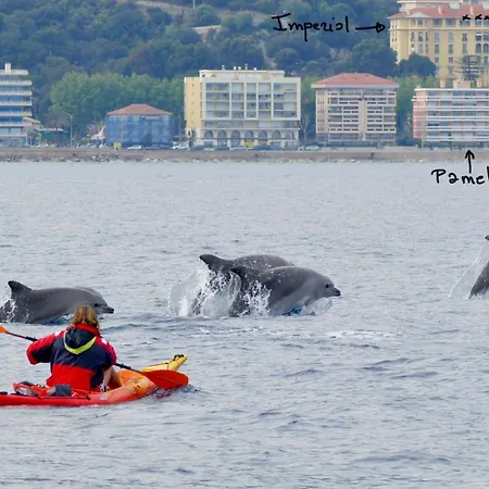 Le Pamela Face A La 芒通