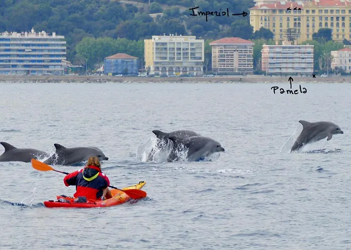 Le Pamela Face A La Menton